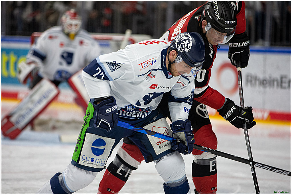PENNY DEL;  Koelner Haie - Straubing Tigers; Koeln, 11.03.2022